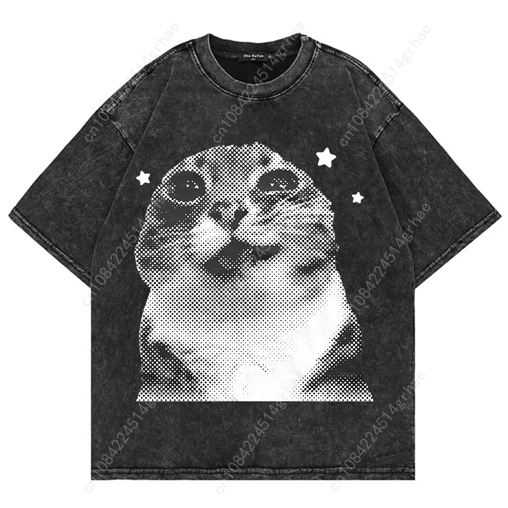 100% コットンヴィンテージウォッシュ Y2k 面白い猫ミ - Graphic Tee Oversized のレビューと価格